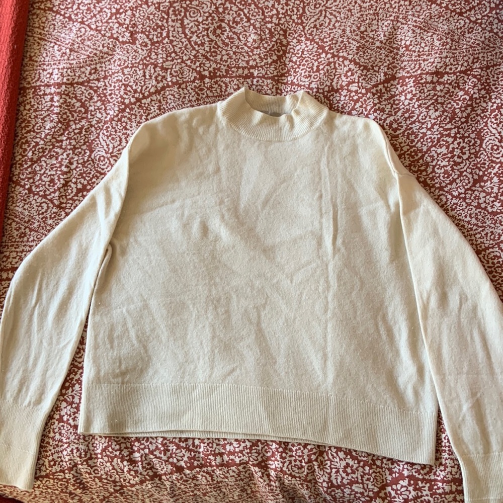 Cream cashmere Everlane mockneck